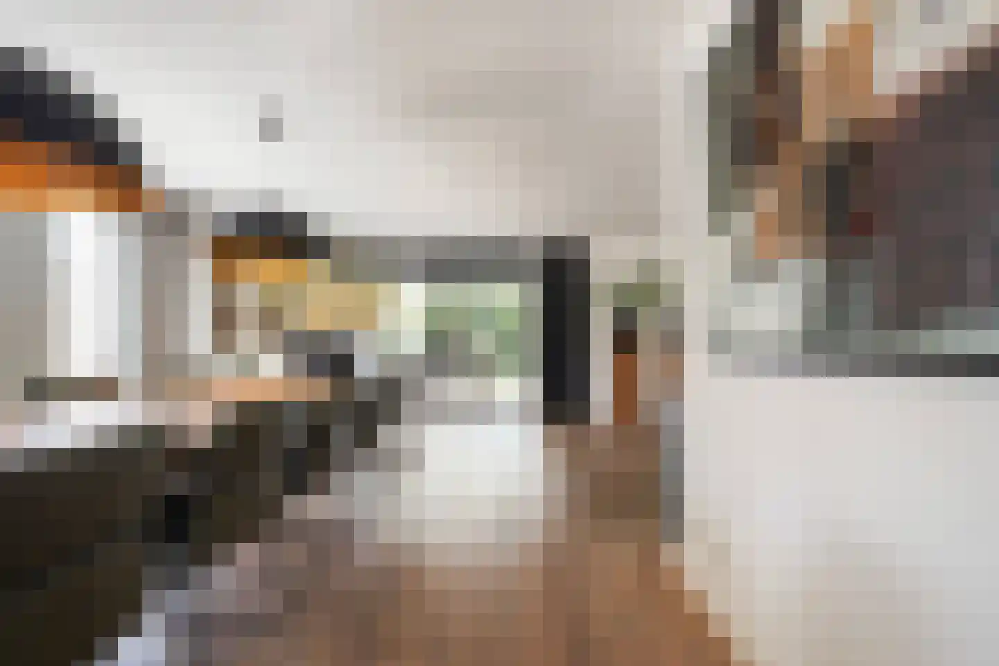 Villa Fonteinkruid 4 Waalwijk thumbnail 7