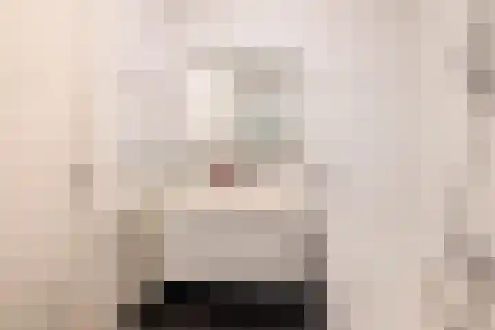 Villa Fonteinkruid 40 Waalwijk thumbnail 19