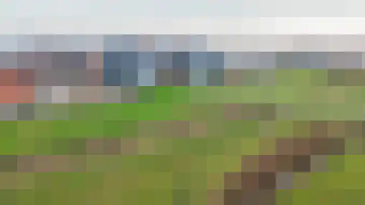 Villa Fonteinkruid 40 Waalwijk thumbnail 30