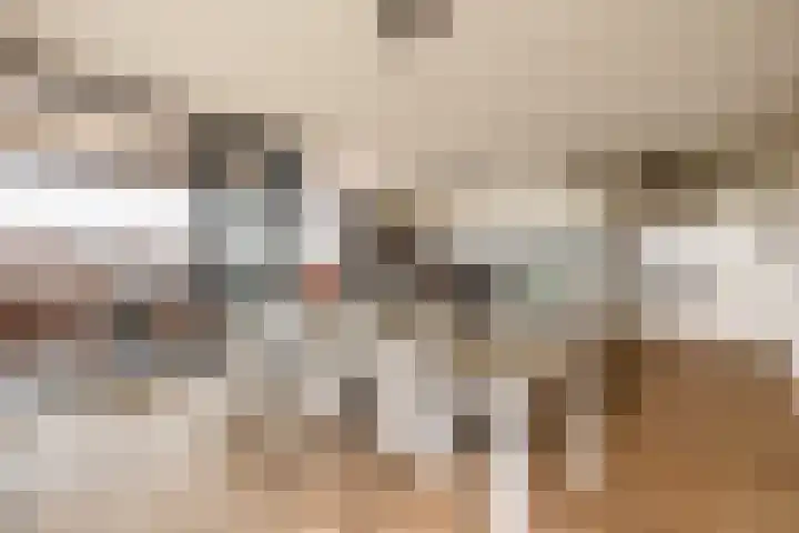Villa Fonteinkruid 40 Waalwijk thumbnail 4