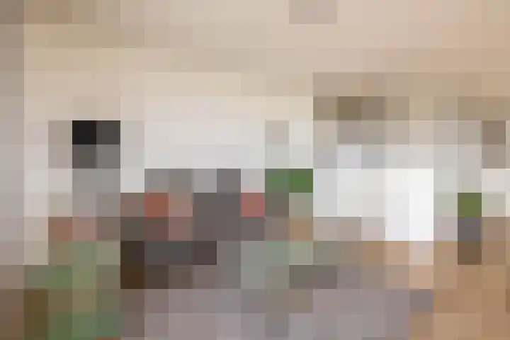 Villa Fonteinkruid 40 Waalwijk thumbnail 7