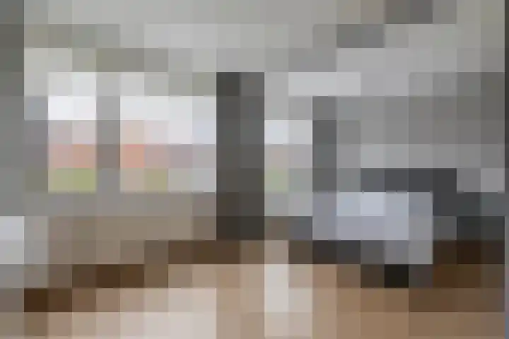 Villa Fonteinkruid 55 Waalwijk thumbnail 20