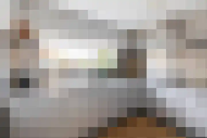 Villa Fonteinkruid 55 Waalwijk thumbnail 8