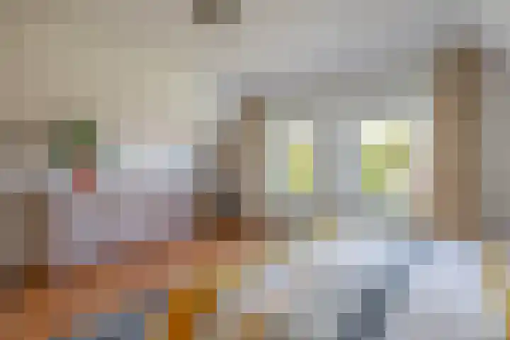Villa Novalaan 2 Lemmer thumbnail 24