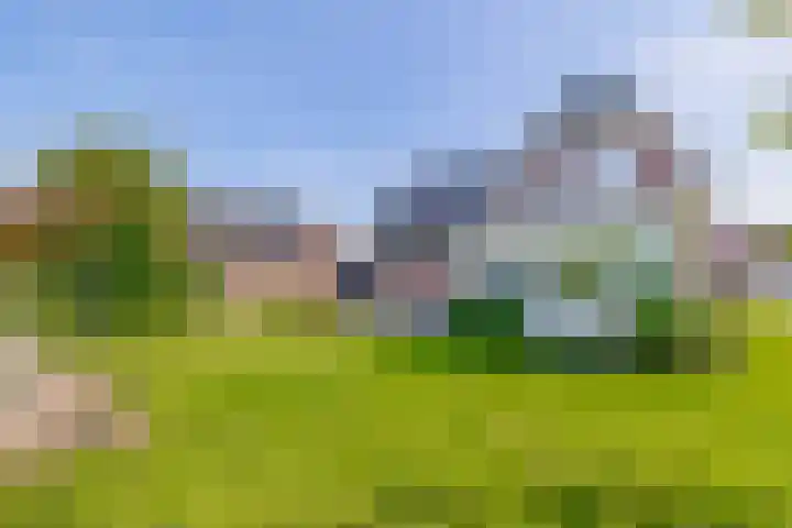 Villa Novalaan 2 Lemmer thumbnail 34