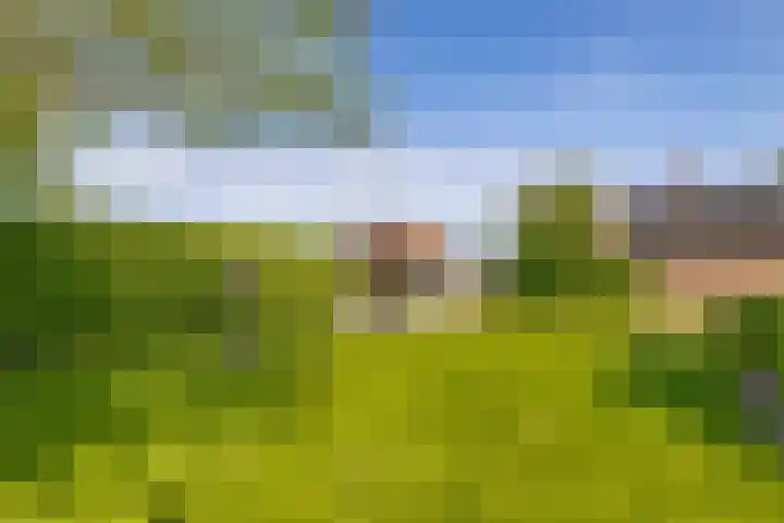 Villa Novalaan 2 Lemmer thumbnail 36