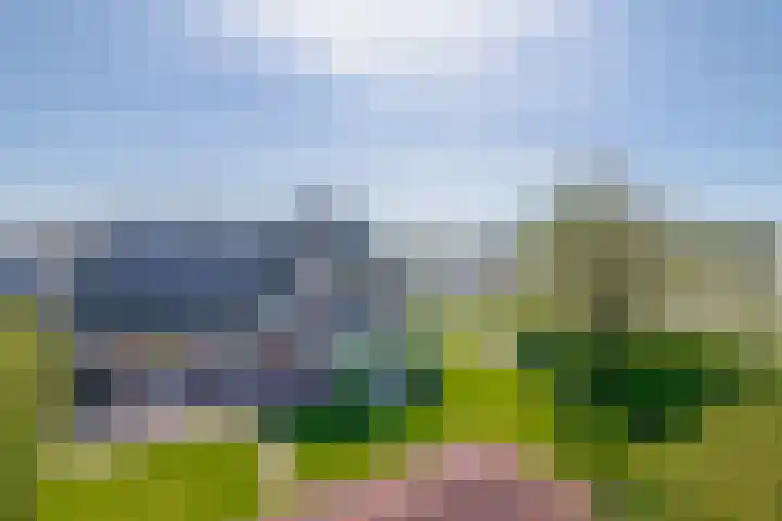 Villa Novalaan 2 Lemmer thumbnail 38