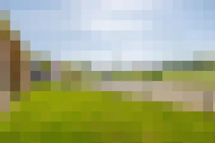 Villa Novalaan 2 Lemmer thumbnail 42