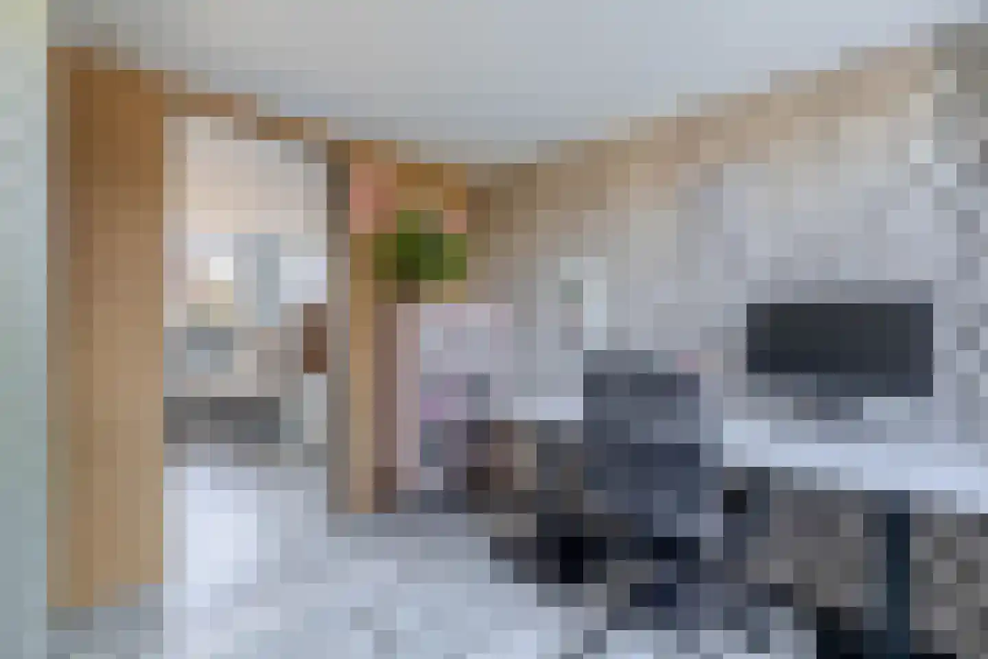 Villa Novalaan 3 Lemmer thumbnail 17