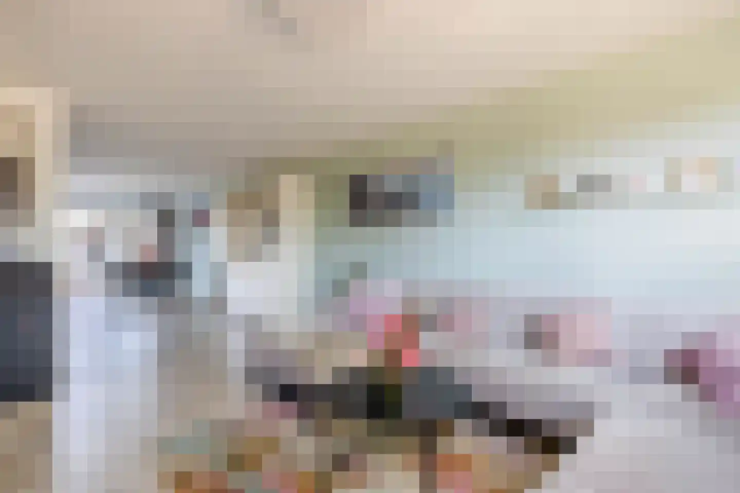 Villa Novalaan 3 Lemmer thumbnail 9