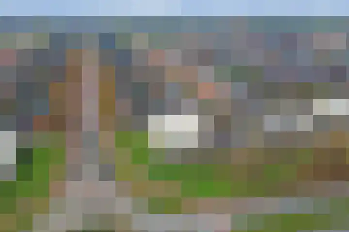 Villa Spaanse Ruiter 102 Waalwijk thumbnail 42