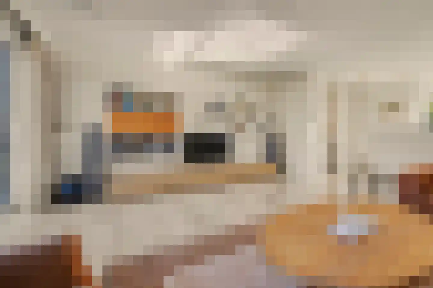 Villa Spaanse Ruiter 104 Waalwijk thumbnail 14