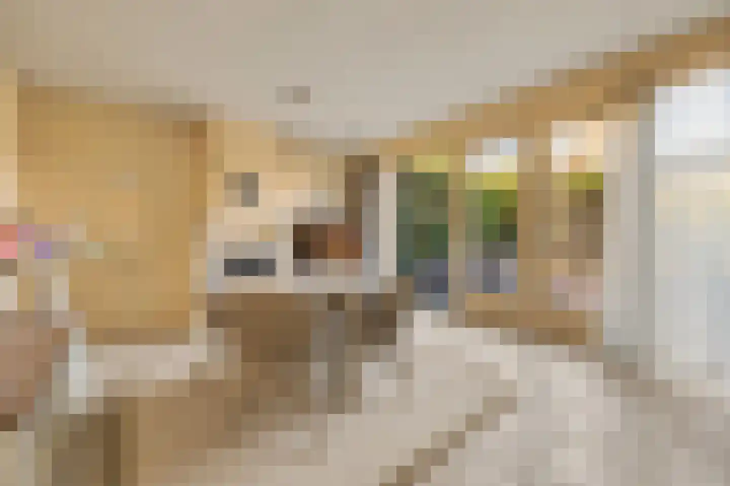 Villa Spaanse Ruiter 104 Waalwijk thumbnail 7
