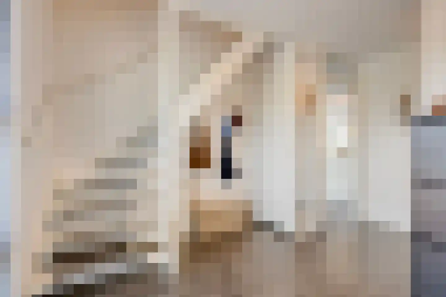 Villa Spaanse Ruiter 28 Waalwijk thumbnail 15