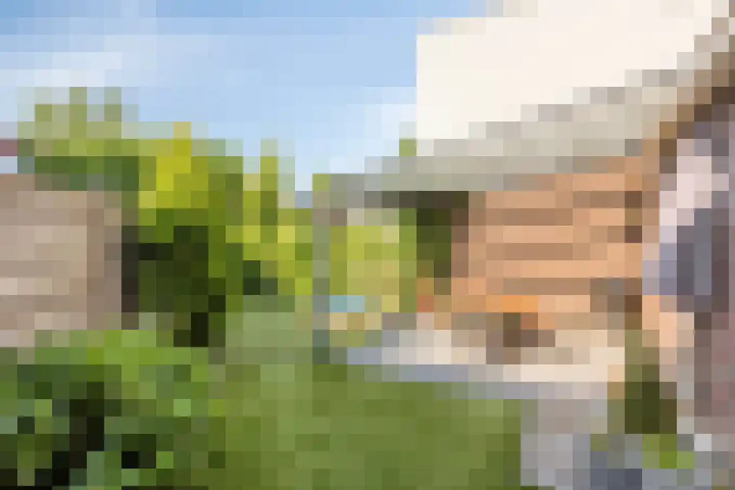 Villa Spaanse Ruiter 28 Waalwijk thumbnail 28
