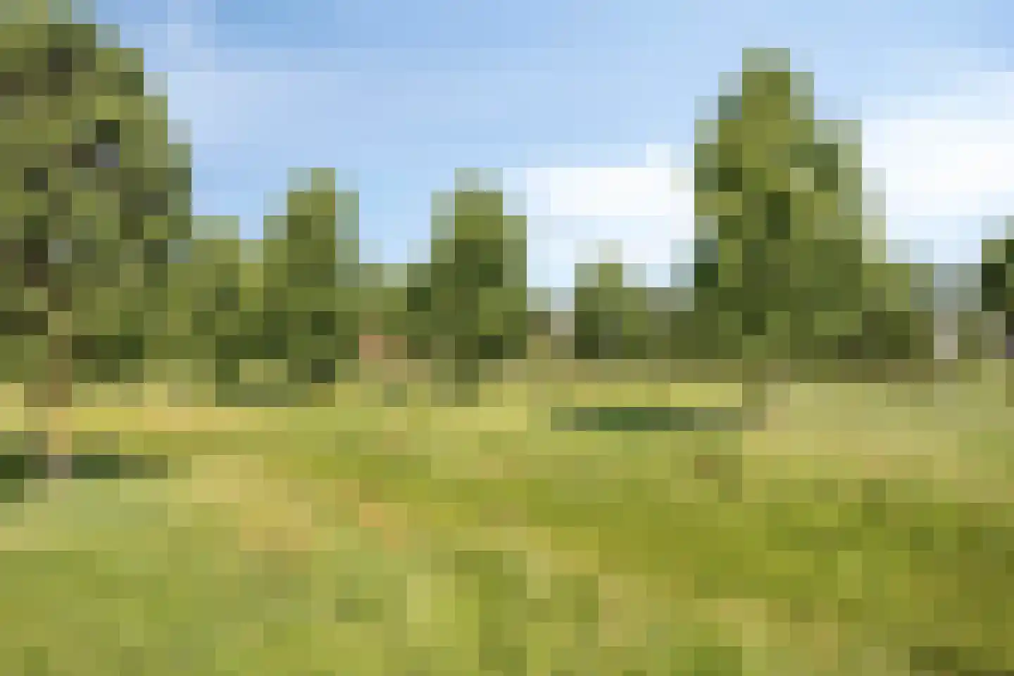 Villa Spaanse Ruiter 28 Waalwijk thumbnail 32