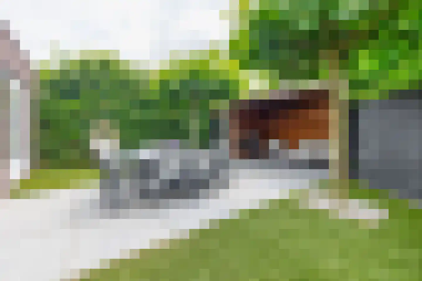 Villa Spaanse Ruiter 32 Waalwijk thumbnail 22