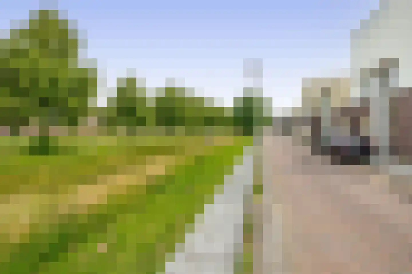 Villa Spaanse Ruiter 32 Waalwijk thumbnail 43