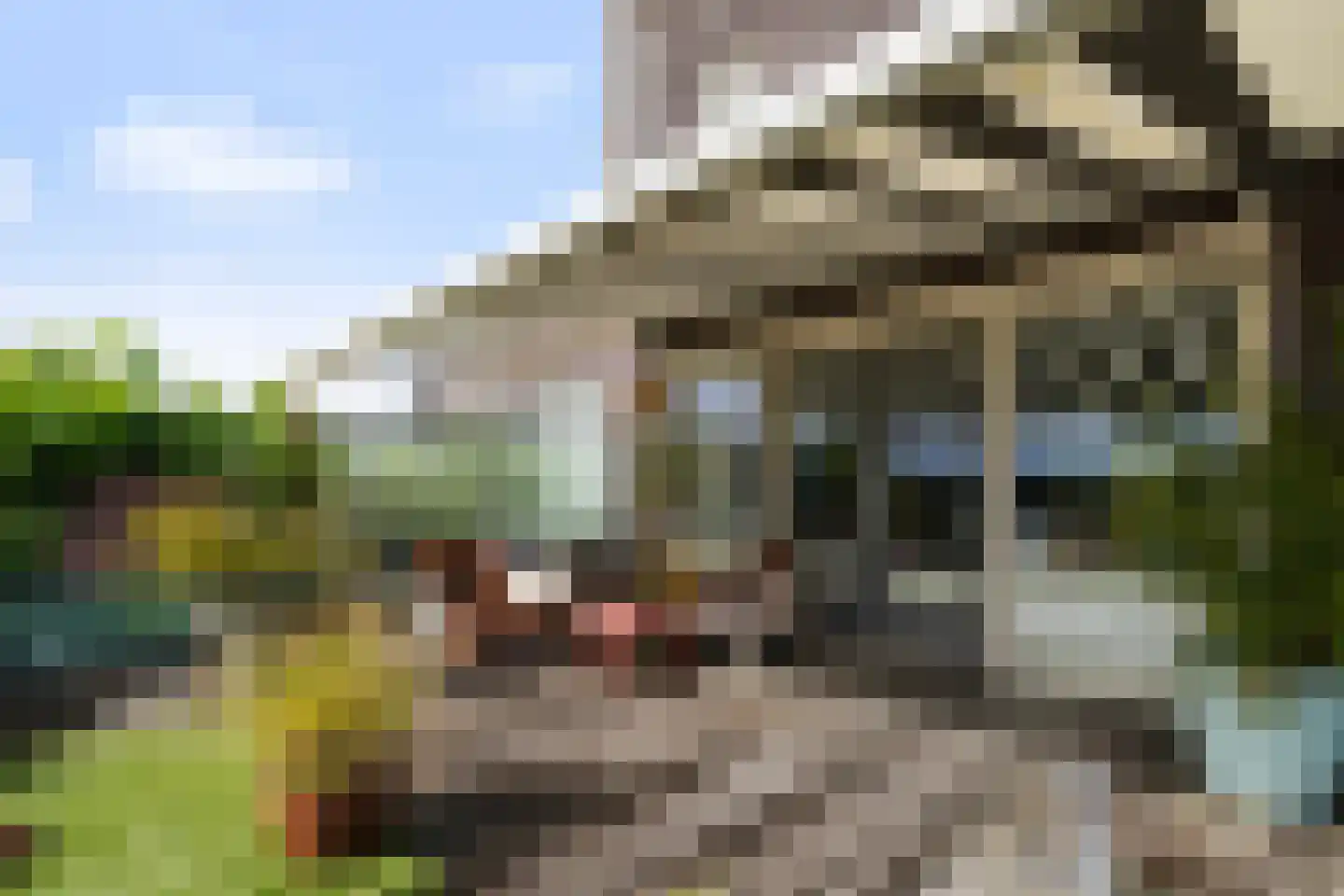 Villa Spaanse Ruiter 4 Waalwijk thumbnail 22
