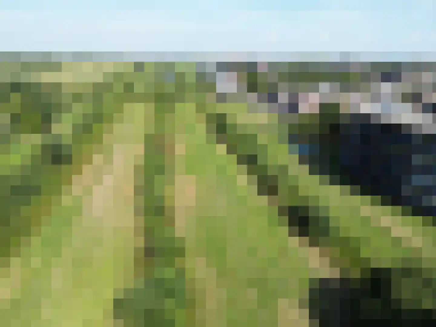 Villa Spaanse Ruiter 4 Waalwijk thumbnail 5