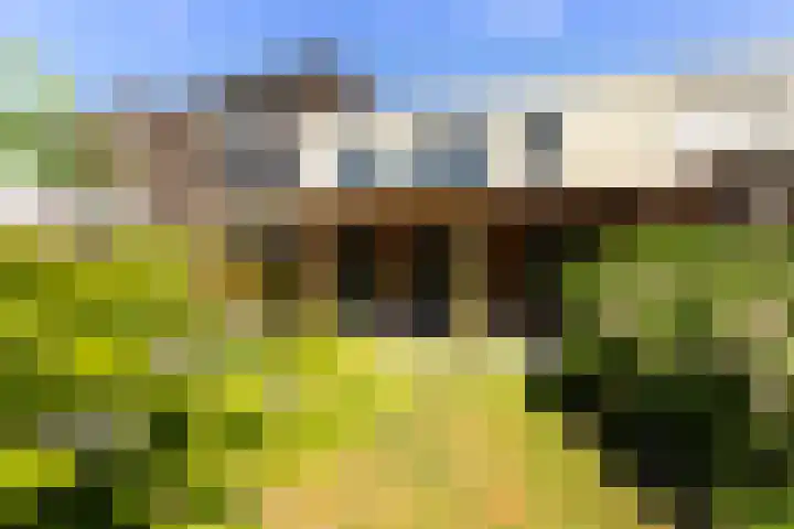 Villa Spaanse Ruiter 76 Waalwijk thumbnail 25