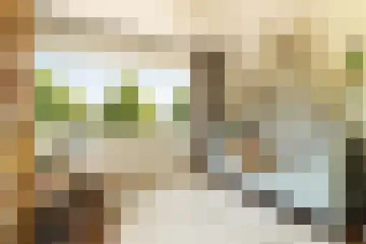 Villa Spaanse Ruiter 76 Waalwijk thumbnail 28