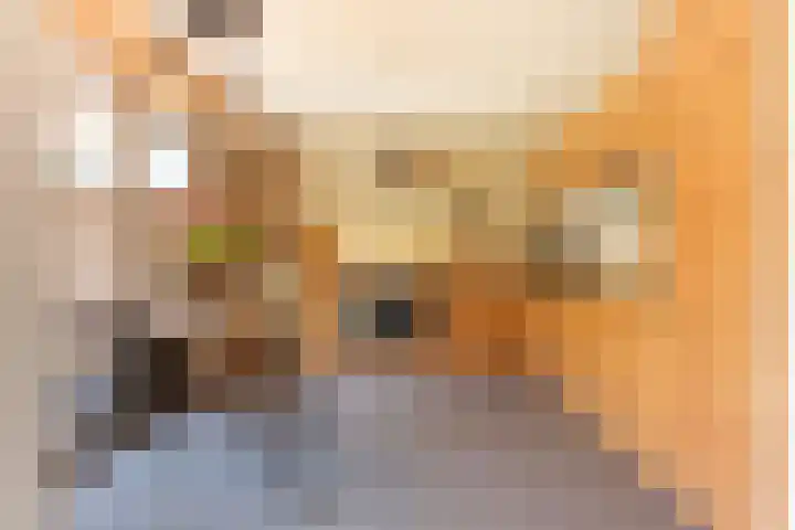 Villa Spaanse Ruiter 76 Waalwijk foto 3