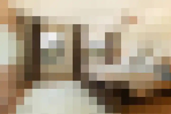 Villa Spaanse Ruiter 76 Waalwijk thumbnail 31