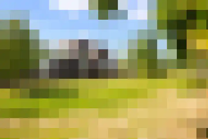 Villa Spaanse Ruiter 76 Waalwijk thumbnail 41