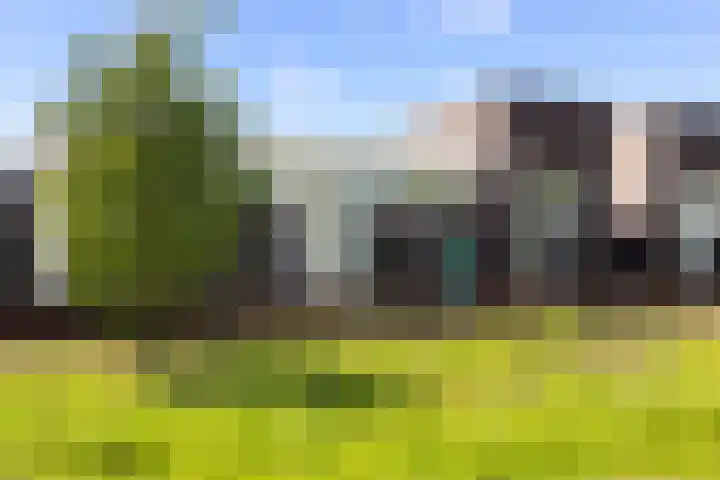 Villa Spaanse Ruiter 76 Waalwijk thumbnail 6
