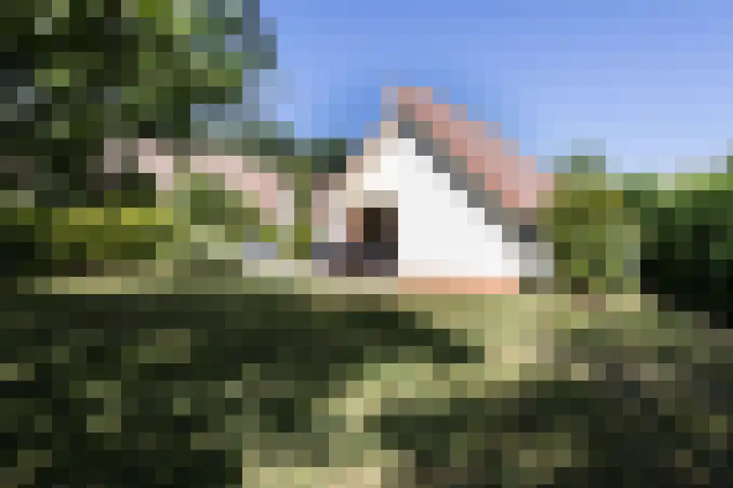 Villa Spaanse Ruiter 88 Waalwijk thumbnail 17