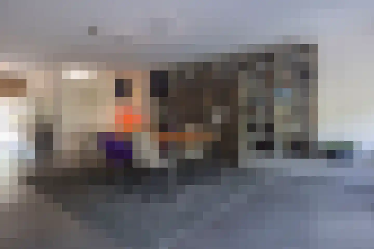 Villa Spaanse Ruiter 90 Waalwijk thumbnail 16