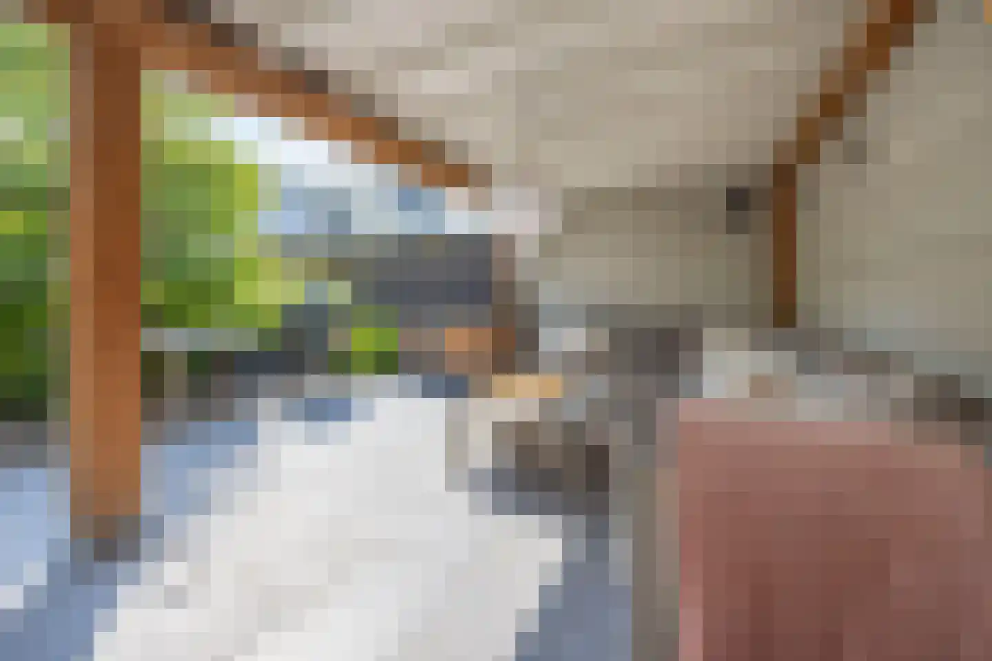 Villa Spaanse Ruiter 90 Waalwijk thumbnail 34