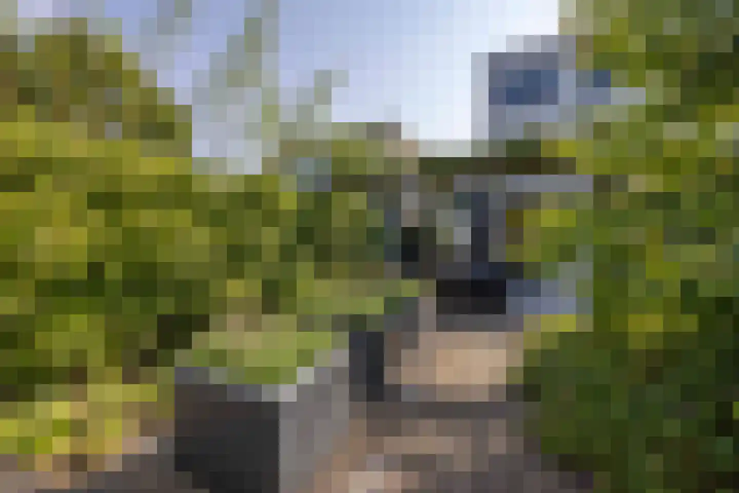 Villa Spaanse Ruiter 90 Waalwijk thumbnail 36