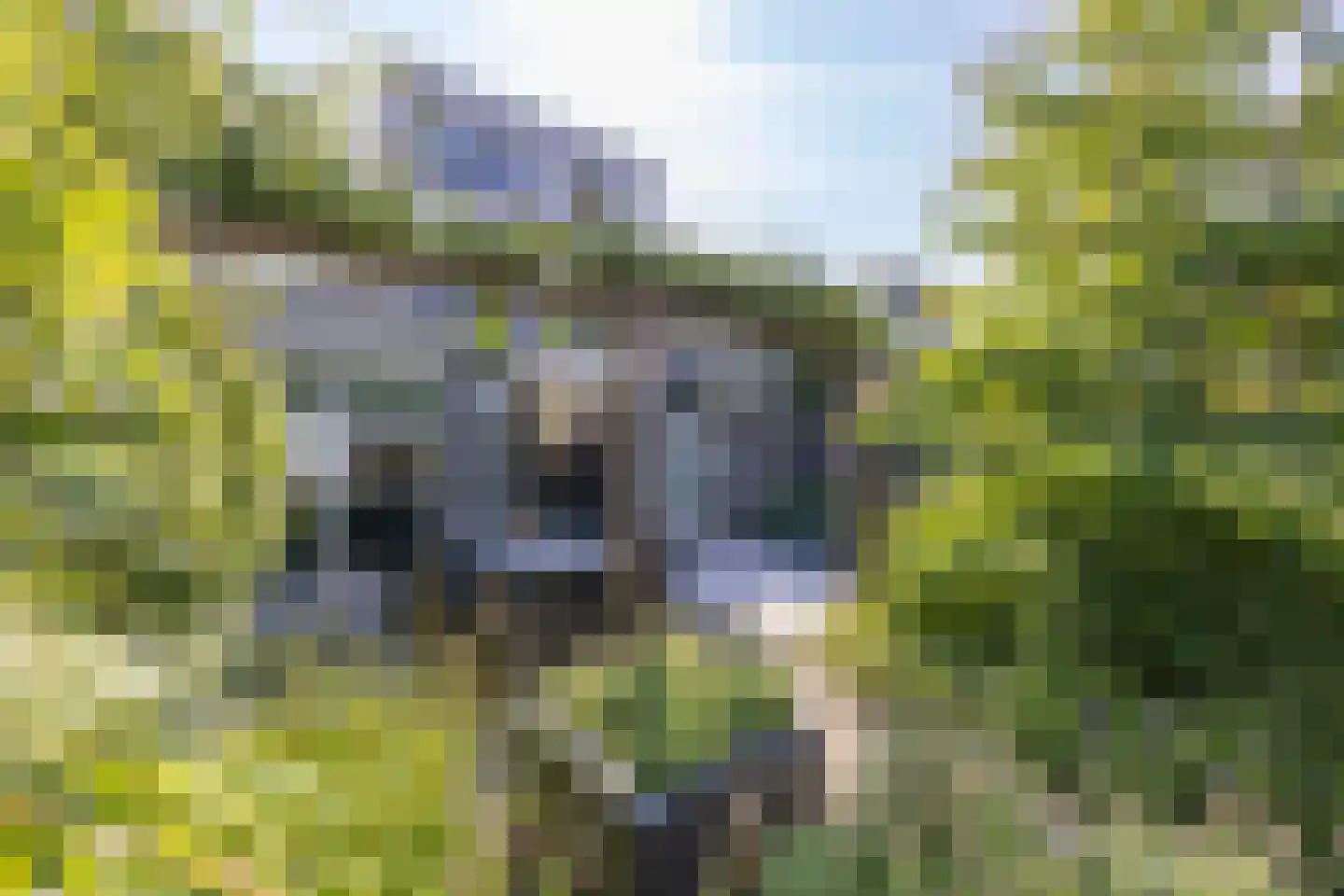 Villa Spaanse Ruiter 90 Waalwijk thumbnail 37