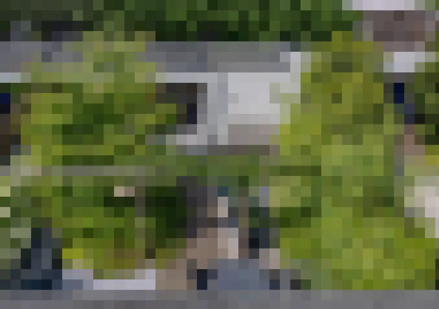 Villa Spaanse Ruiter 90 Waalwijk thumbnail 48