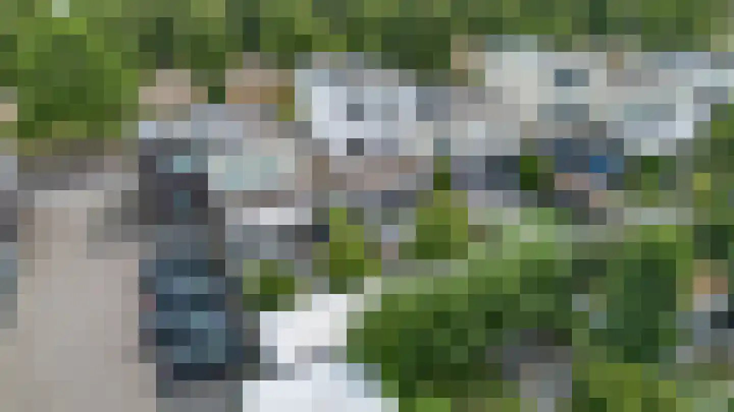 Villa Spaanse Ruiter 90 Waalwijk thumbnail 49