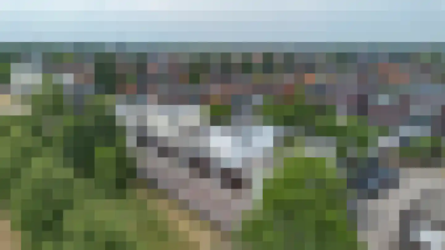 Villa Spaanse Ruiter 90 Waalwijk thumbnail 50