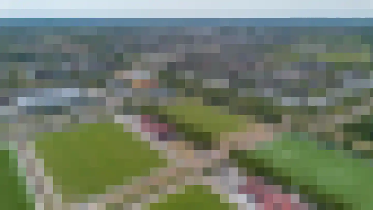 Villa Spaanse Ruiter 90 Waalwijk thumbnail 51