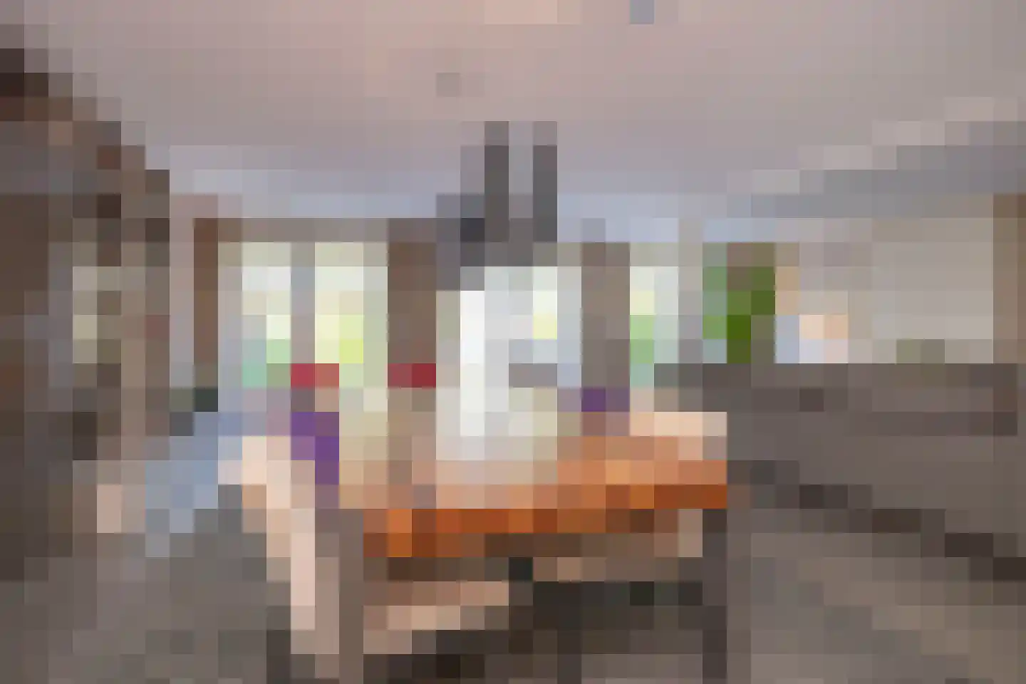 Villa Spaanse Ruiter 90 Waalwijk thumbnail 7