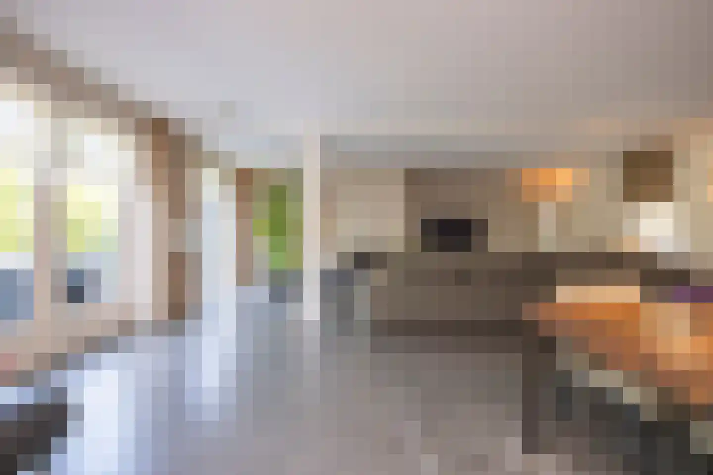 Villa Spaanse Ruiter 90 Waalwijk thumbnail 8