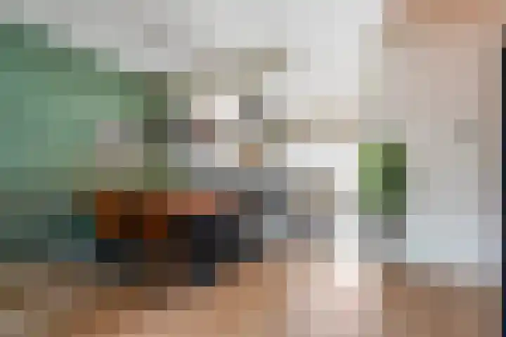 Villa Waterranonkel 20 Waalwijk thumbnail 12