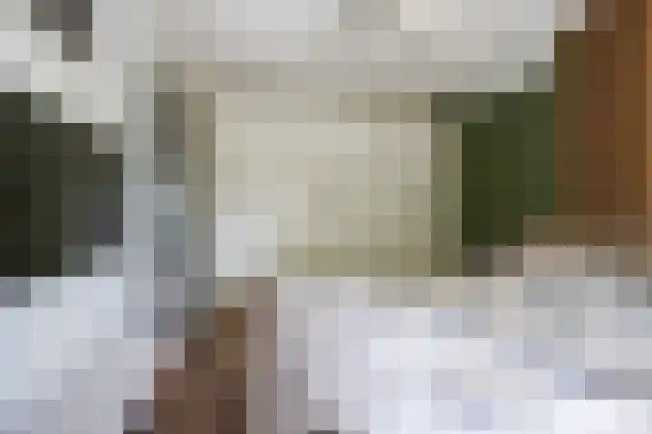 Villa Waterranonkel 20 Waalwijk thumbnail 21