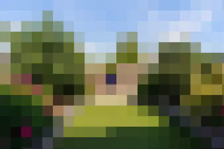 Villa Waterranonkel 20 Waalwijk thumbnail 35