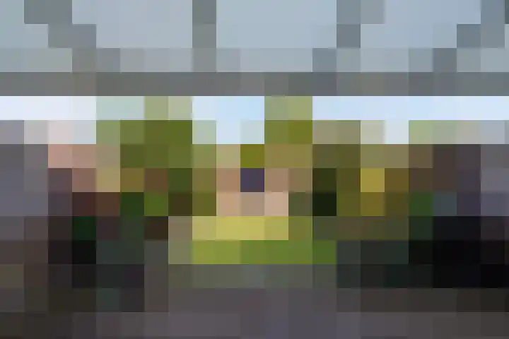 Villa Waterranonkel 20 Waalwijk thumbnail 36
