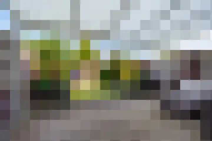 Villa Waterranonkel 20 Waalwijk thumbnail 37