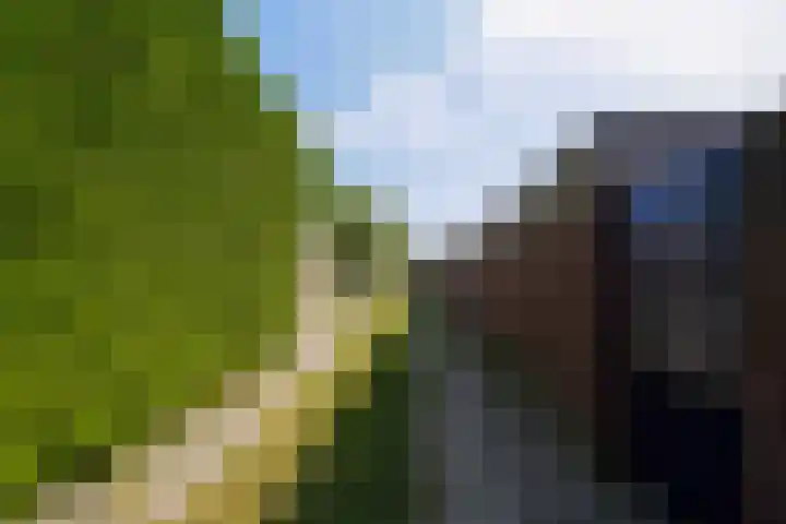 Villa Waterranonkel 20 Waalwijk thumbnail 39