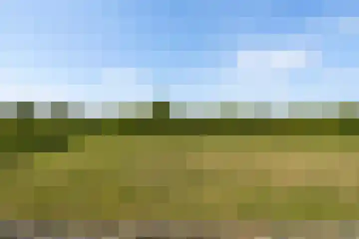 Villa Waterranonkel 20 Waalwijk thumbnail 40