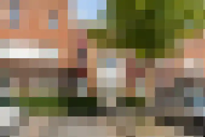 Villa Waterranonkel 20 Waalwijk thumbnail 5