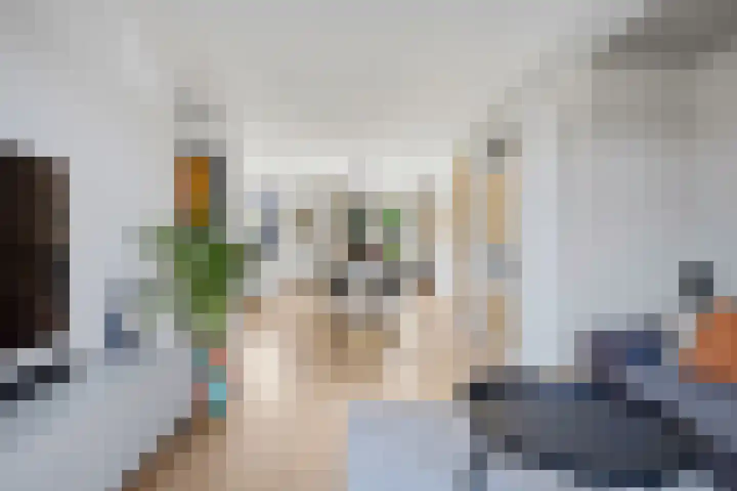 Villa Waterranonkel 53 Waalwijk thumbnail 12